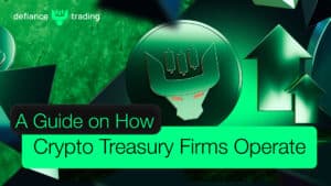 A Guide on How Crypto Treasury Firms Operate